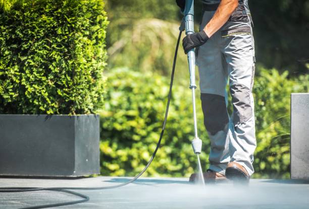 Reliable Wake Village, TX  Pressure Washing Services Solutions