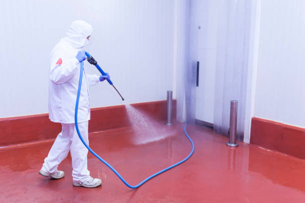 Best Graffiti Removal  in Wake Village, TX